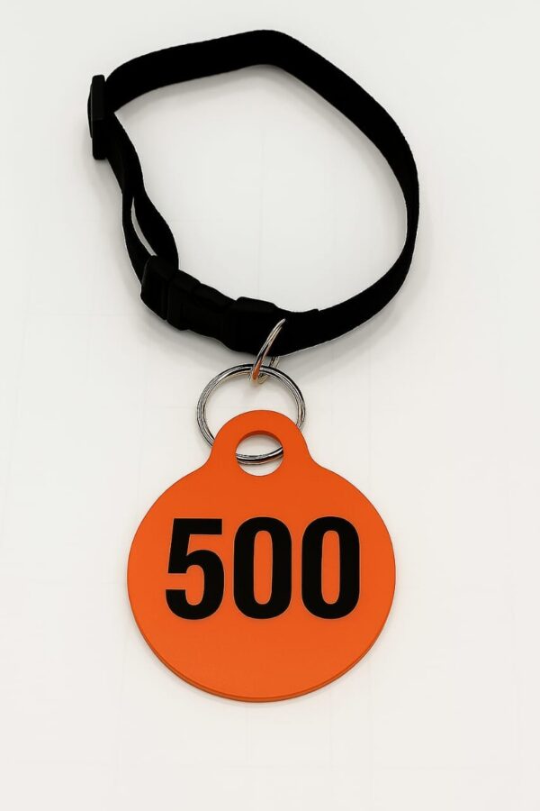  أرقام الاغنام للاغنام لون برتقالي