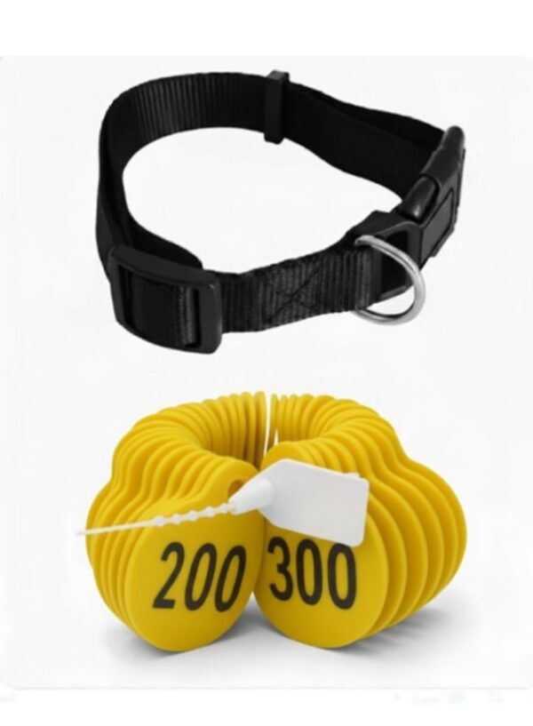 ترقيم للاغنام لون اصفر من (201 إلى 300)