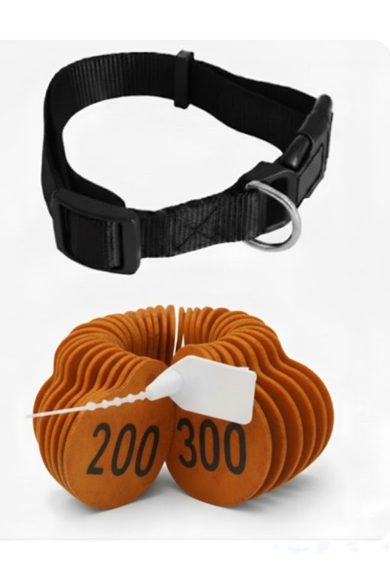 ترقيم للاغنام لون برتقالي من (201 إلى 300)