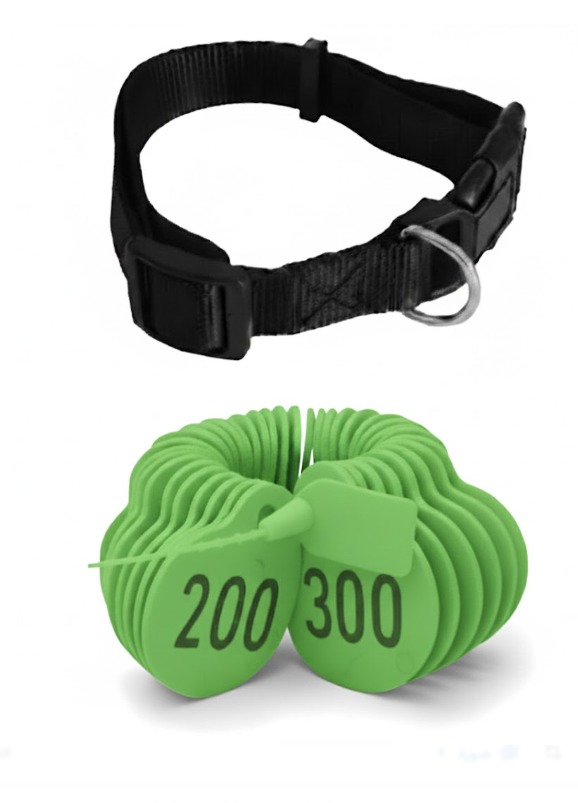 ترقيم للاغنام لون اخضرمن (201 إلى 300)