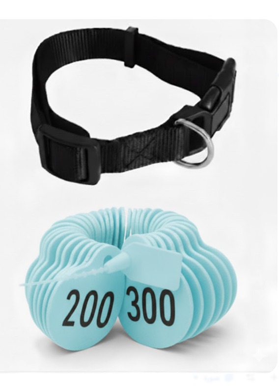 ترقيم للاغنام لون ازرق من (201 إلى 300)