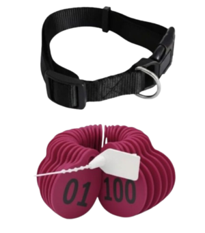 أرقام للاغنام لون وردي من (01 إلى 100 )