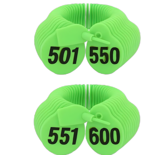 تصميم بدون عنوان (19) ارقام الرقبة للاغنام لون اخضر من (501 إلى 600)