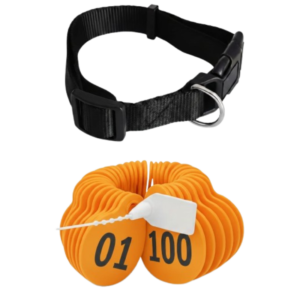 أرقام للاغنام لون برتقالي من (01 إلى 100 )