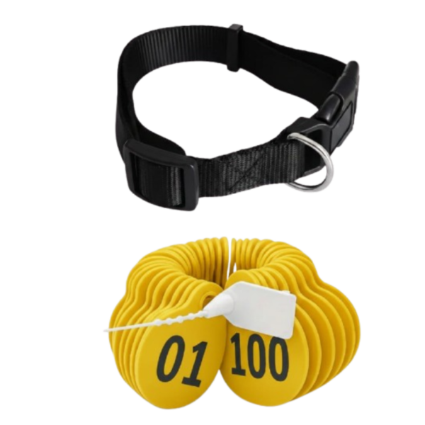 أرقام للاغنام لون اصفر من (01 إلى 100 )