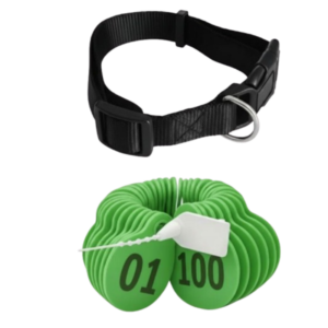  أرقام للاغنام لون اخضر من (01 إلى 100 )