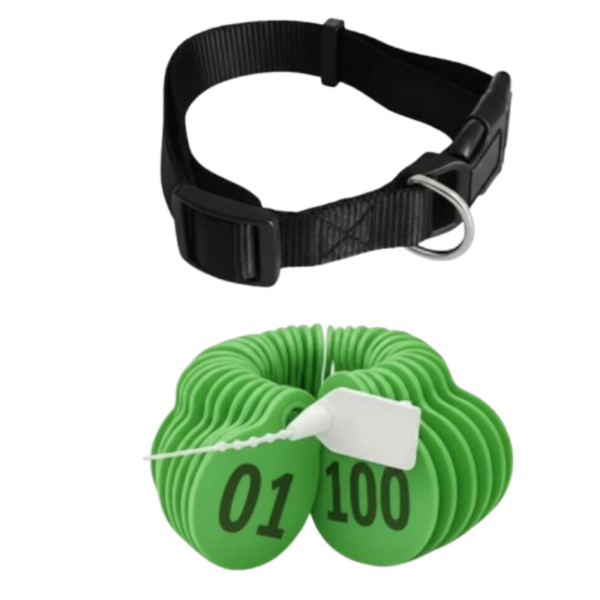  أرقام للاغنام لون اخضر من (01 إلى 100 )