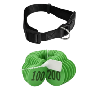 ارقام للاغنام لون اخضر من (101 إلى 200)