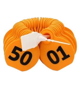 أرقام الاغنام لون برتقالي