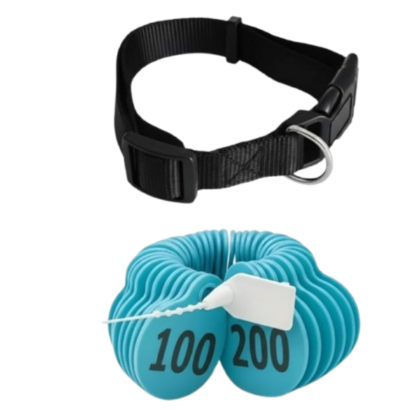  ارقام للاغنام لون ازرق من (101 إلى 200)