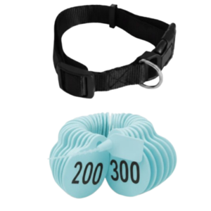 ترقيم للاغنام لون ازرق من (201 إلى 300)