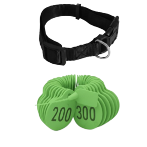 ترقيم للاغنام لون اخضرمن (201 إلى 300)