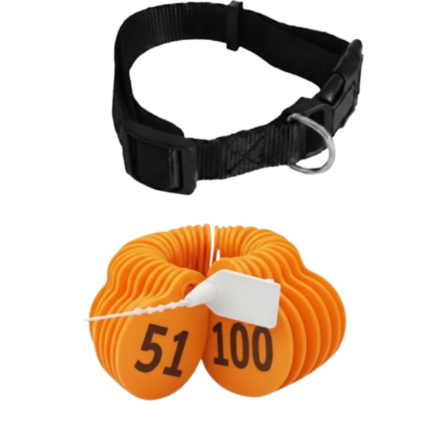  أرقام اغنام لون برتقالي من (51 إلى 100 )