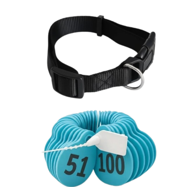  أرقام اغنام لون ازرق من (51 إلى 100 )