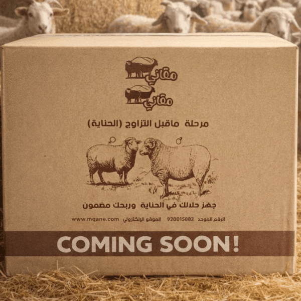 بوكس التجهيز للتزاوج (مُحفز الحناية والخصوبة)