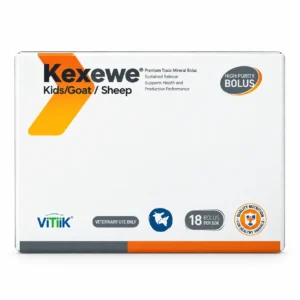 Kexewe – كيكسيو