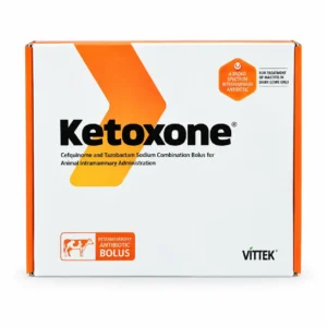 Ketoxone – كيتوكسون لدعم الطاقة وتقليل مخاطر الكيتوزيس