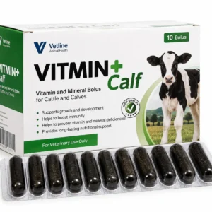 فيتمن بلس عجل Vitami+ Calf – مكمل فيتامينات ومعادن للحيران والعجول