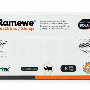 Ramewe – راميو